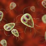 10 Signs You May Have A Parasit
